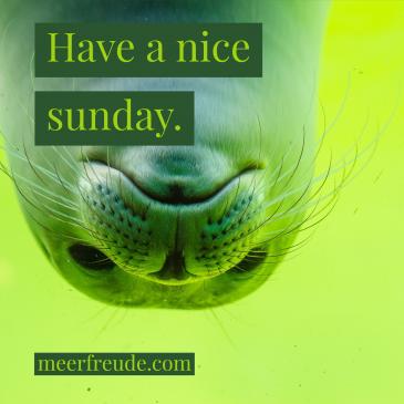 Have a nice sunday